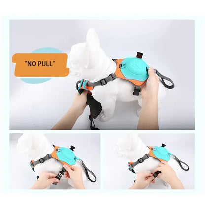 Petify™ | Integrated Retractable Harness with Auto-Lock Technology